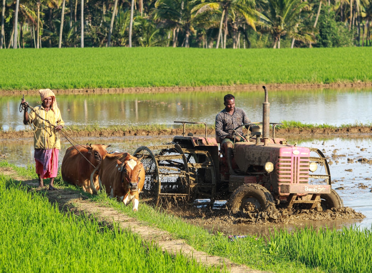 Mão de produtor rural segurando smartphone em campo de soja com lavoura ao fundo
